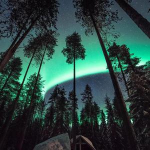 被cao哭嗯啊屁股撅起来动态图
